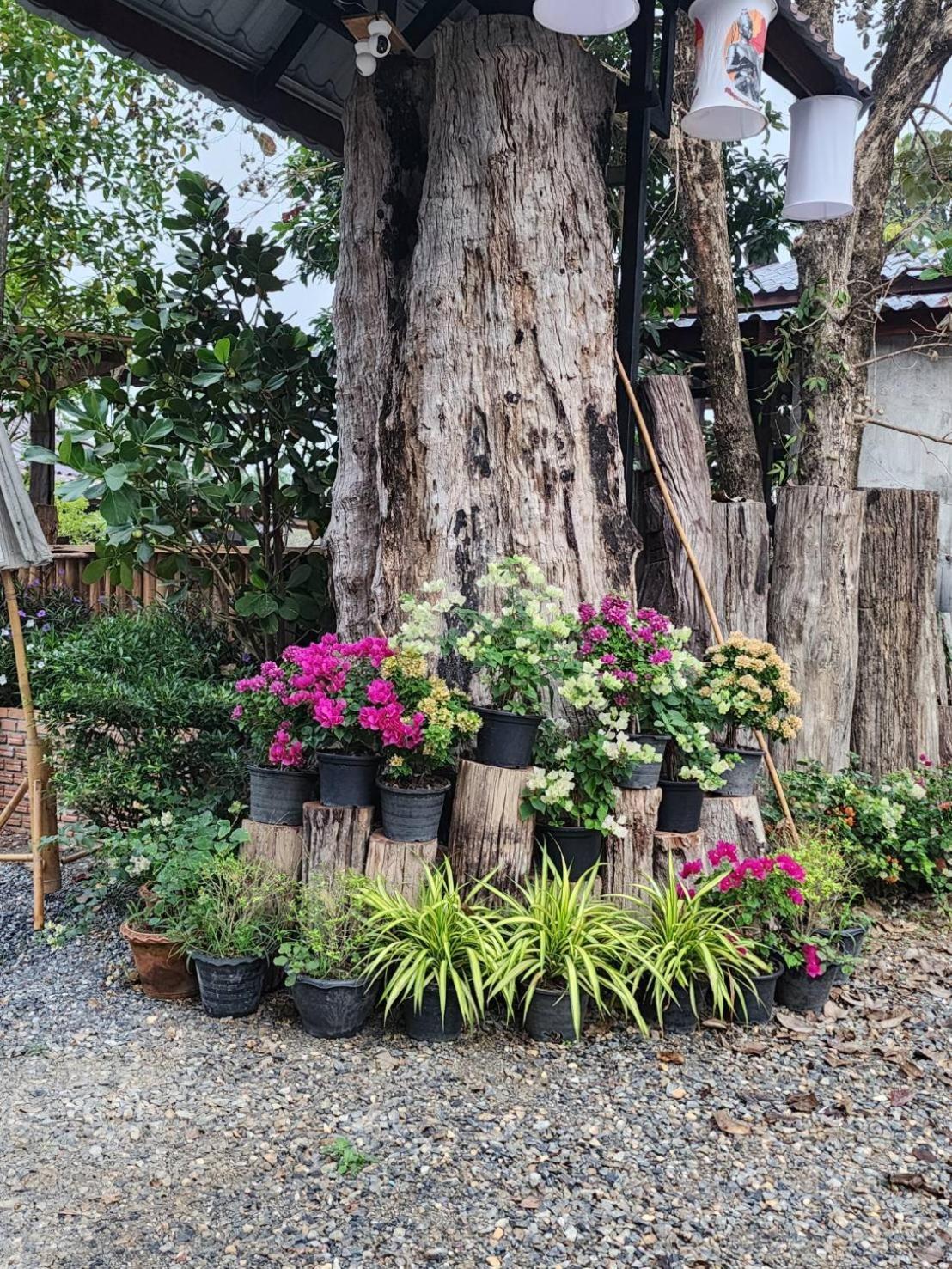 Suk Sabai Homestay Sukhothai Eksteriør billede